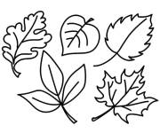 Coloriage Ensemble de feuilles d&rsquo;automne