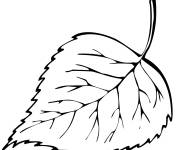 Coloriage feuille automne rouge