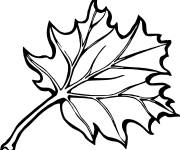 Coloriage Feuille d'automne au canada