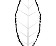 Coloriage et dessins gratuit Feuille d'automne charmante à imprimer