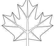 Coloriage Feuille d'&eacute;rable stylis&eacute;