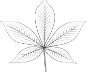 Coloriage Feuille de buckeye de ohio d'automne en Japon