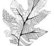 Coloriage Feuille de l'automne complexe
