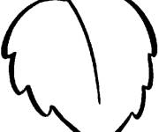 Coloriage et dessins gratuit Feuille de tremble dessin&eacute;e &agrave; la main à imprimer