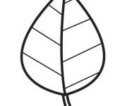 Coloriage et dessins gratuit Feuille Drap uni à imprimer