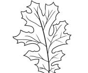 Coloriage Feuille et texte d'automne