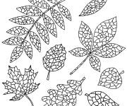 Coloriage Feuilles automne antistress