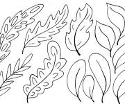 Coloriage Feuilles d&rsquo;automne en vari&eacute;t&eacute;