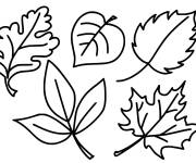 Coloriage Feuilles d'automne imprimable