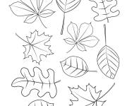 Coloriage Feuilles d&rsquo;automne sur ordi
