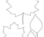 Coloriage feuilles d&rsquo;&eacute;rable avec motifs &agrave; dessiner