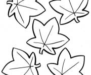 Coloriage feuilles d&rsquo;&eacute;rable en contour facile