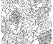 Coloriage Feuilles de la saison automne