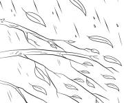 Coloriage Feuilles et branches tomb&eacute;es en automne