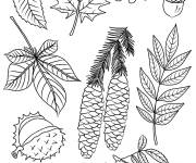 Coloriage Feuilles et Symboles d&rsquo;automne
