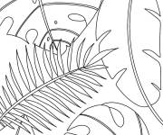 Coloriage Feuilles Monstera de l'automne
