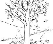 Coloriage Feuilles qui tombent de l'arbre