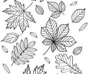 Coloriage Feuilles tomb&eacute;es