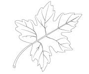 Coloriage Feuilles tomb&eacute;es les meilleurs cadeaux de l'automne