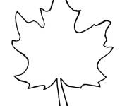 Coloriage et dessins gratuit Grande feuille d&rsquo;&eacute;rable gratuit à imprimer