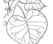 Coloriage Les feuilles de tilleul sur le th&egrave;me de l'automne