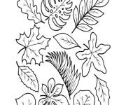 Coloriage Mod&egrave;le de Feuilles d'automne