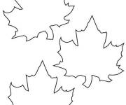 Coloriage Motifs de feuilles d&rsquo;&eacute;rable qui tombent en automne