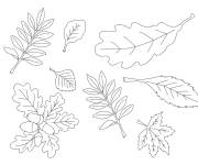 Coloriage Plusieurs feuilles d'automne en un seul dessin