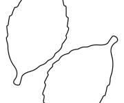 Coloriage et dessins gratuit Pochoirs &agrave; feuilles &agrave; completer à imprimer