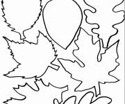 Coloriage Pochoirs &agrave; feuilles de la saison d'automne