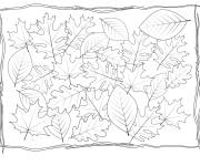 Coloriage Portrait de Feuille d&rsquo;automne