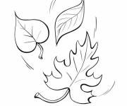 Coloriage et dessins gratuit Trois feuilles de l'automne au sol à imprimer