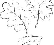 Coloriage Trois feuilles de la saison automne pour enfants