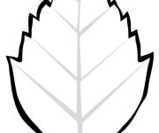 Coloriage Une feuille d&rsquo;automne en vecteur