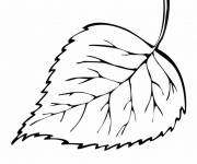 Coloriage Une grande belle feuille