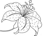 Coloriage Colorie cette fleur de lis