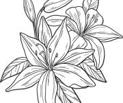 Coloriage Des fleurs de lis