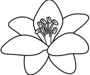 Coloriage Fleur de lis ancienne de printemps