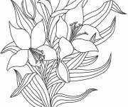 Coloriage Fleur de lis en couleur