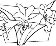 Coloriage Illustration de fleur de lis
