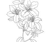 Coloriage Imprime ces Fleurs de lis