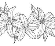 Coloriage Trois fleurs de lis