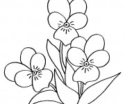 Coloriage Fleur au crayon noir