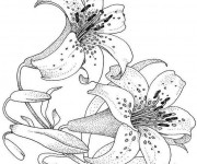 Coloriage Fleur blanche pour enfant