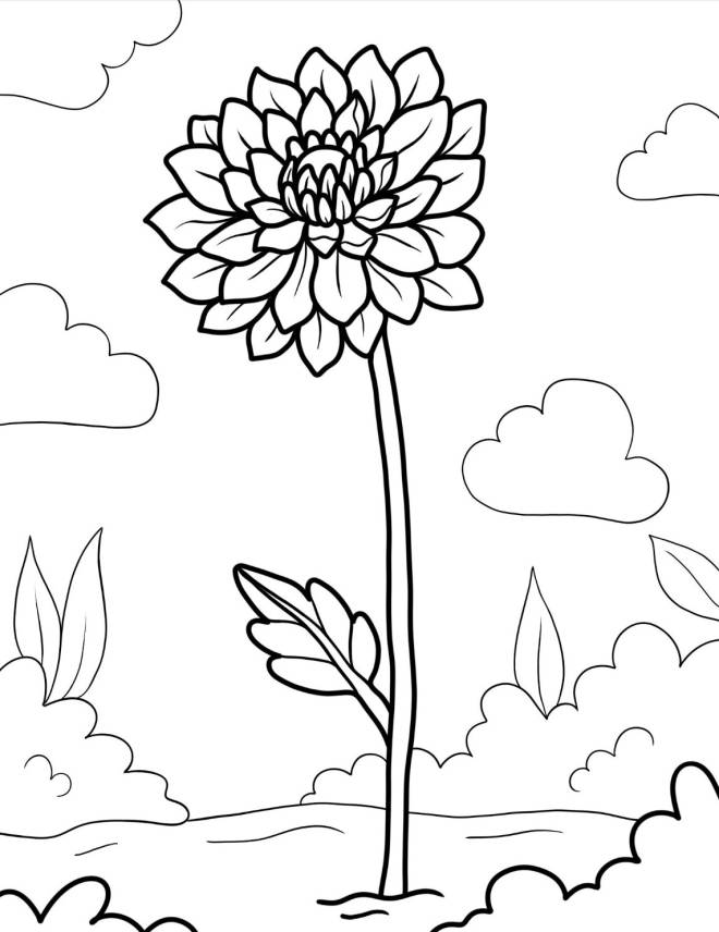 Coloriage et dessins gratuits Fleur Chrysanthème à imprimer