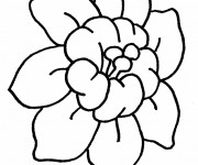 Coloriage Fleur de lotus stylis&eacute;e