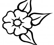 Coloriage Fleur de Tiare