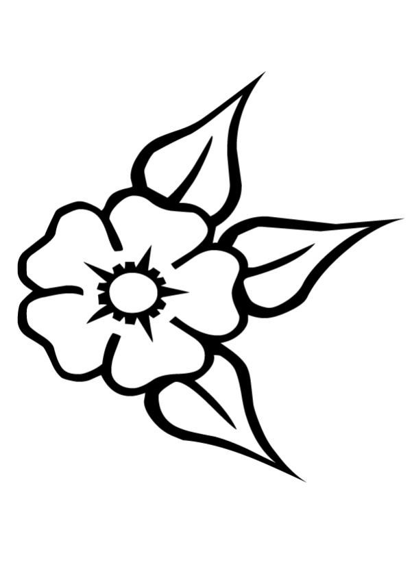 Coloriage Fleur De Tiare Dessin Gratuit à Imprimer