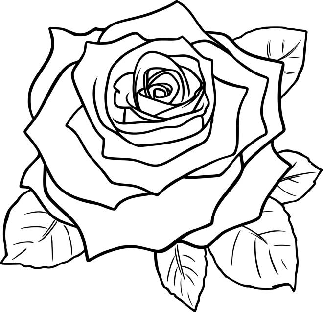 Coloriage et dessins gratuits Fleur free à imprimer