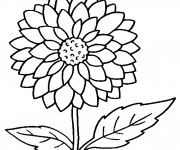 Coloriage Fleur pour enfant